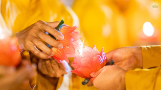 Mùa Vu Lan - Thắp sáng tinh thần hiếu hạnh và lan tỏa trí tuệ chư Phật