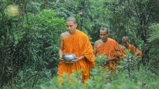 Chư Tăng chùa Ba Vàng miên mật thực hành hạnh Đầu Đà như thuở Phật còn tại thế