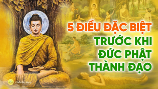 5 sự kiện đặc biệt trước khi Đức Phật thành đạo