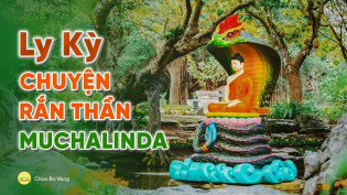 Ly kỳ câu chuyện về Tôn tượng rắn thần Muchalinda che mưa cho Đức Phật
