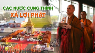 Hướng về kỷ niệm ngày Đức Phật nhập Niết bàn - Hình ảnh các nước trên thế giới cung rước Xá lợi Phật