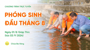 Phóng sinh đầu tháng 8 | Chùa Ba Vàng, ngày 01/8/Giáp Thìn