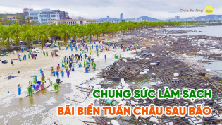 Chung sức làm sạch bãi biển Tuần Châu sau bão Yagi