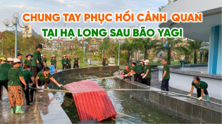 Phật tử chùa Ba Vàng chung tay phục hồi cảnh quan Hạ Long sau bão