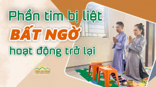 1/3 tim bị liệt trong 5 năm hoạt động trở lại chỉ sau 3 ngày 3 đêm