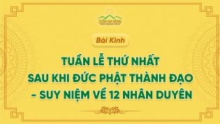 Kinh Tuần Lễ Thứ Nhất Sau Khi Đức Phật Thành Đạo - Suy Niệm Về 12 Nhân Duyên