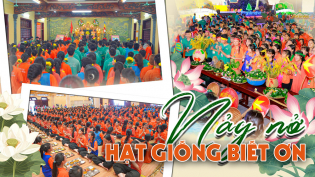 Hành trình nuôi dưỡng lòng biết ơn trong khóa tu mùa hè chùa Ba Vàng 2025
