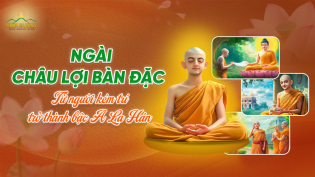 Ngài Châu Lợi Bàn Đặc: Từ người kém trí đến bậc A La Hán thông suốt kinh điển