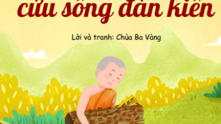 Truyện tranh: Chú tiểu cứu sống đàn kiến