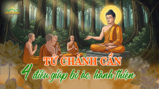Tứ chánh cần là gì? 4 Pháp đoạn ác, sinh thiện, nuôi lớn trí tuệ