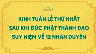 Kinh Tuần Lễ Thứ Nhất Sau Khi Đức Phật Thành Đạo - Suy Niệm Về 12 Nhân Duyên