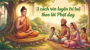 Trí tuệ: 3 cách rèn luyện trí tuệ sáng suốt, đạt thành công và an lạc