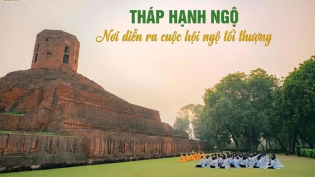 Tháp Hạnh Ngộ Ấn Độ và nhân duyên thù thắng của cuộc hội ngộ cao quý
