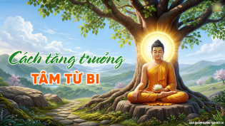 Phật dạy về lòng từ bi: Cách nuôi dưỡng tâm từ để hóa giải khổ đau