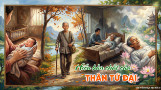 Thân tứ đại là gì? Hiểu bản chất của thân thể để bớt khổ đau