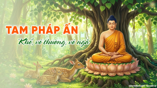 Tam pháp ấn của Phật giáo: Hiểu đúng để bớt khổ, sống an vui