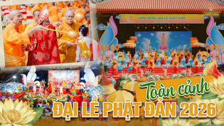 Bỏ lại mọi phiền muộn: Tìm về khoảng lặng nội tâm giữa mùa Phật đản