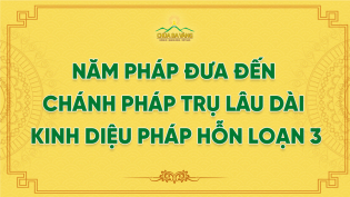 Năm Pháp Đưa Đến Chánh Pháp Trụ Lâu Dài - Kinh Diệu Pháp Hỗn Loạn 3