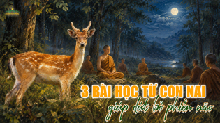 Học từ con nai: 3 bài học giúp dứt bỏ phiền não, giữ tâm bình an