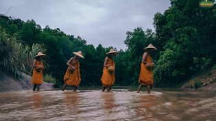 Tìm về mùa xuân giải thoát
