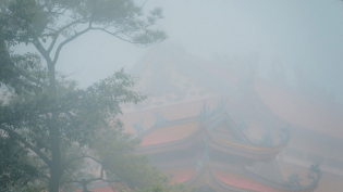 Kinh 'Như Lý Tác Ý” - Pháp Làm Tăng Trưởng Chánh Kiến
