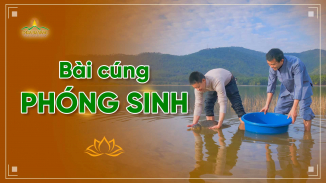 Bài cúng phóng sinh mới nhất năm 2025
