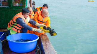 Phóng sinh đầu năm: Khởi đầu năm mới với việc làm thiện lành