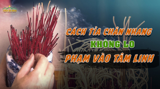 Cách tỉa chân nhang: 3 bước quan trọng không lo phạm tâm linh