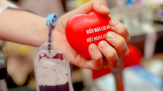 Trao giọt máu hồng: Gửi trọn yêu thương, kết duyên lành Phật Pháp