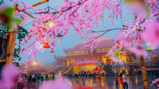 | Tận hưởng vẻ đẹp Ba Vàng dưới làn mưa xuân |