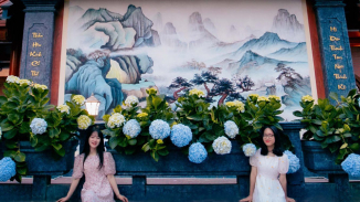 Check in mỏi tay với khóm hoa cẩm tú cầu đầy thơ mộng nơi non thiêng Thành Đẳng