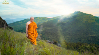 Chư Tăng nhập rừng thực hành Pháp, Phật tử làm phước và tu Bát quan trai là những điều đang diễn ra ở chùa Ba Vàng mùa dịch Covid-19