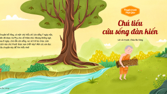 Truyện tranh: Chú tiểu cứu sống đàn kiến