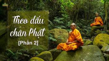 [Video] Tại sao chư Tăng chùa Ba Vàng tu trong rừng? | Theo dấu chân Phật