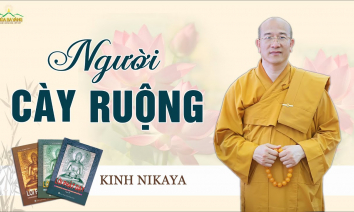[Video] Người cày ruộng | Phẩm Bố thí và cúng dường - Kinh Nikaya giảng giải