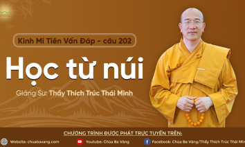 'Học từ núi' - câu 202 Kinh Mi Tiên Vấn Đáp | Thầy Thích Trúc Thái Minh