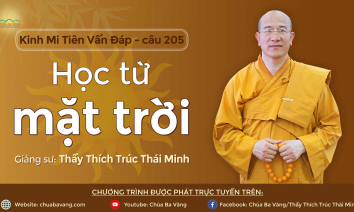 'Học từ mặt trời' - câu 205 Kinh Mi Tiên Vấn Đáp | Thầy Thích Trúc Thái Minh