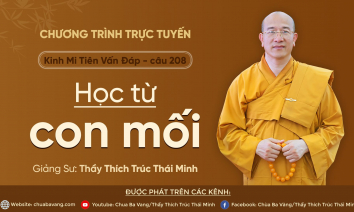 'Học từ con mối' - câu 208 Kinh Mi Tiên Vấn Đáp | Thầy Thích Trúc Thái Minh
