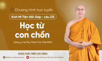 'Học từ con chồn' - Câu 212 Kinh Mi Tiên Vấn Đáp | Thầy Thích Trúc Thái Minh