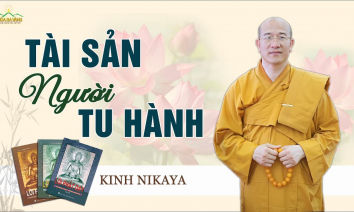 [Video] Tài sản của người tu hành | Kinh Nikaya giảng giải | Thầy Thích Trúc Thái Minh