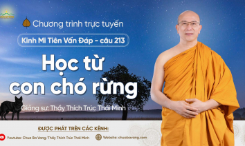 'Học từ con chó rừng' - câu 213 Kinh Mi Tiên Vấn Đáp | Thầy Thích Trúc Thái Minh