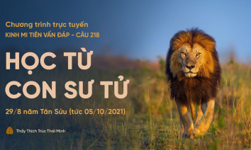 'Học từ con sư tử' - câu 218 Kinh Mi Tiên Vấn Đáp | Thầy Thích Trúc Thái Minh