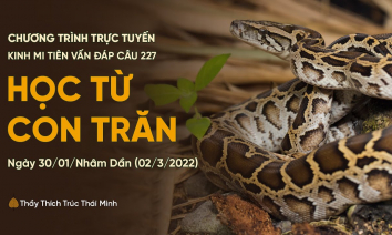 'Học từ con trăn' - câu 227 Kinh Mi Tiên Vấn Đáp | Thầy Thích Trúc Thái Minh