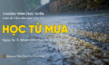 'Học từ mưa' - câu 233 Kinh Mi Tiên Vấn Đáp | Thầy Thích Trúc Thái Minh