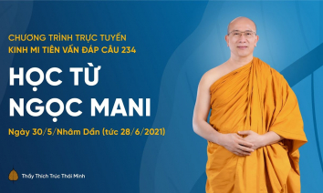 'Học từ ngọc mani' - câu 234 Kinh Mi Tiên Vấn Đáp | Thầy Thích Trúc Thái Minh