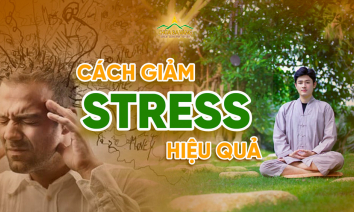 05 cách xả stress hiệu quả giúp bạn lấy lại cân bằng trong cuộc sống