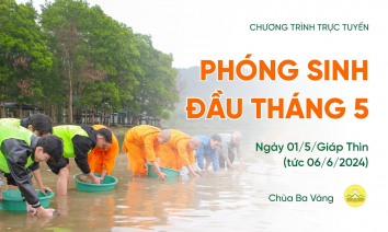 Phóng sinh đầu tháng 5 | Chùa Ba Vàng, ngày 01/5/Giáp Thìn