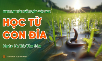 'Học từ con đỉa' - câu 225 Kinh Mi Tiên Vấn Đáp | Thầy Thích Trúc Thái Minh