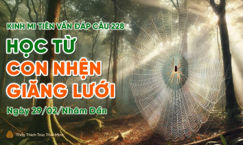 'Học từ con nhện giăng lưới' - câu 228 Kinh Mi Tiên Vấn Đáp