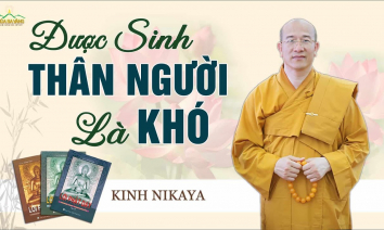 [Video] Được sinh thân người là khó | Kinh Nikaya giảng giải